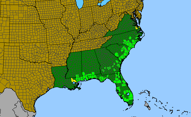 The range of Calopogon pallidus